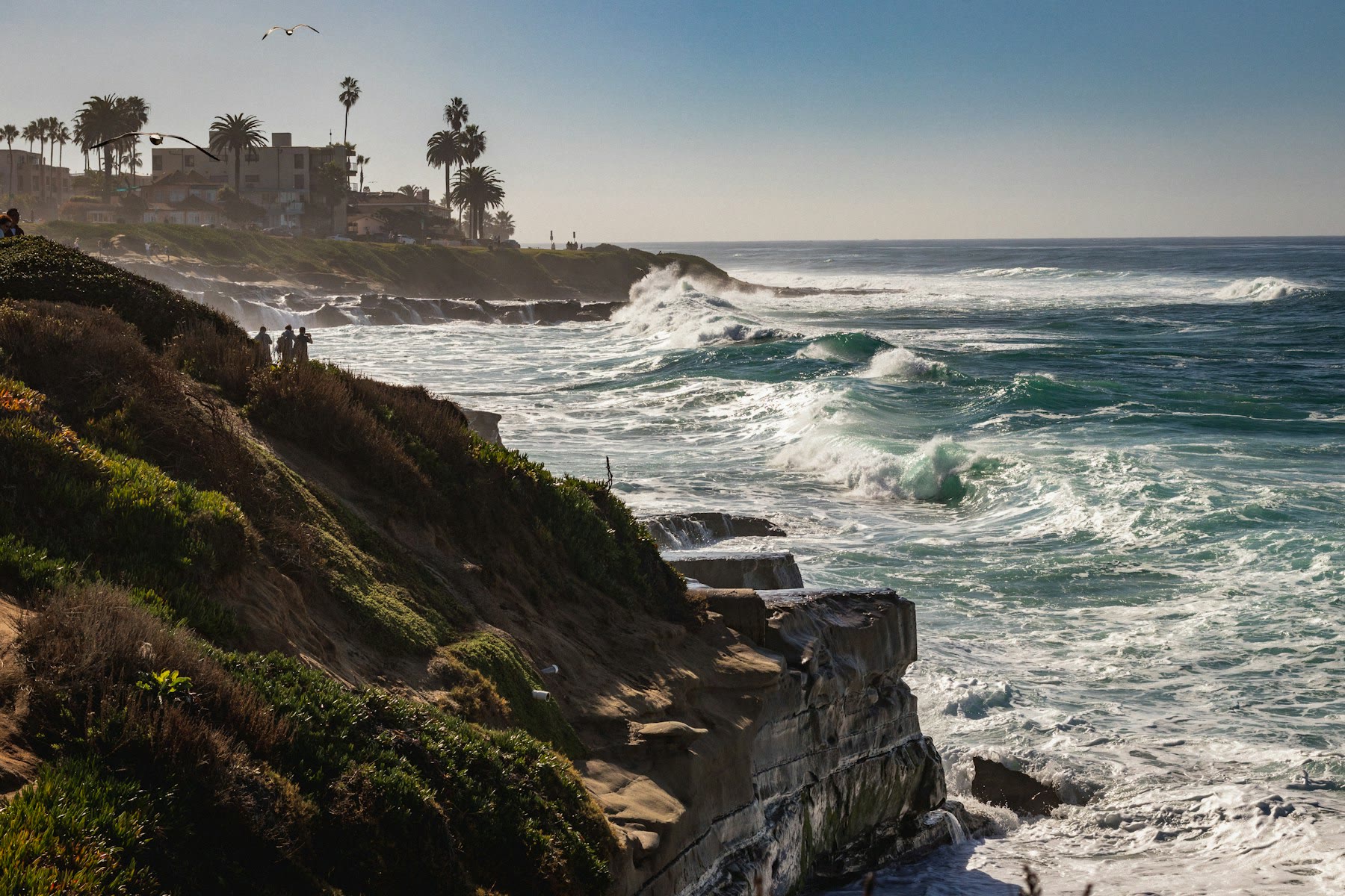 Pacific Coast Cruise hero